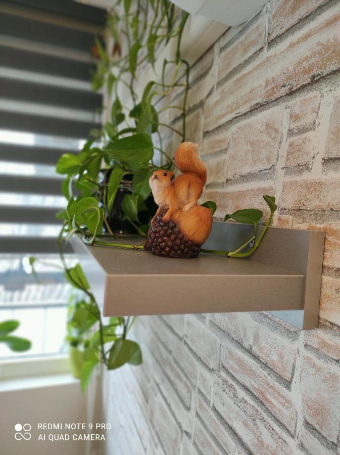 Baross Apartman Kaposvár Zewnętrze zdjęcie